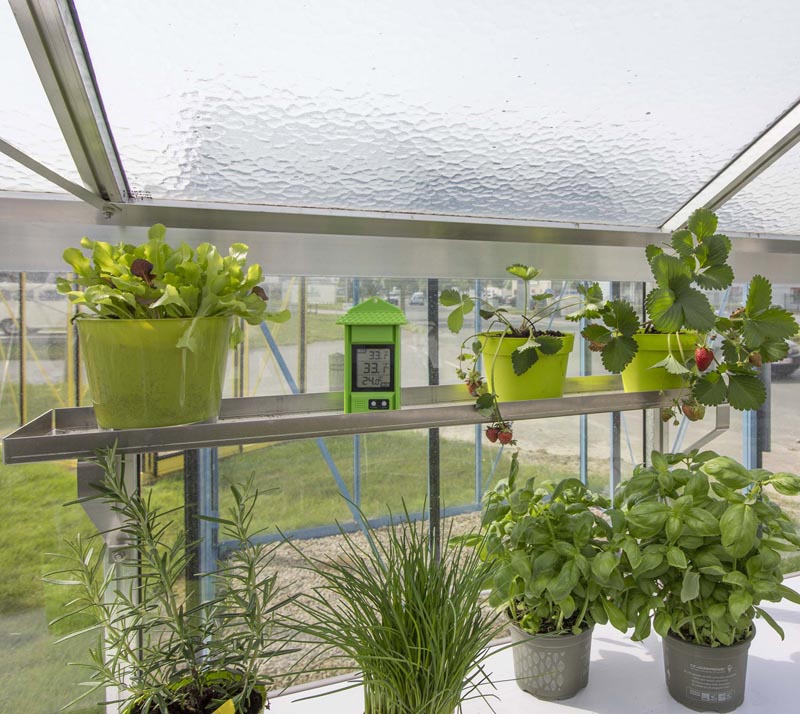 Glas Gewächshaus Orangerie Helene | Schwarz | 377x445x259 cm – Bild 4